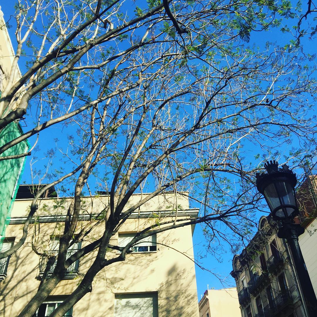 “Cultura es lo que queda cuando lo aprendido se olvidó” Selma Lagerlof #genial!!!! Buenas tardes!!!