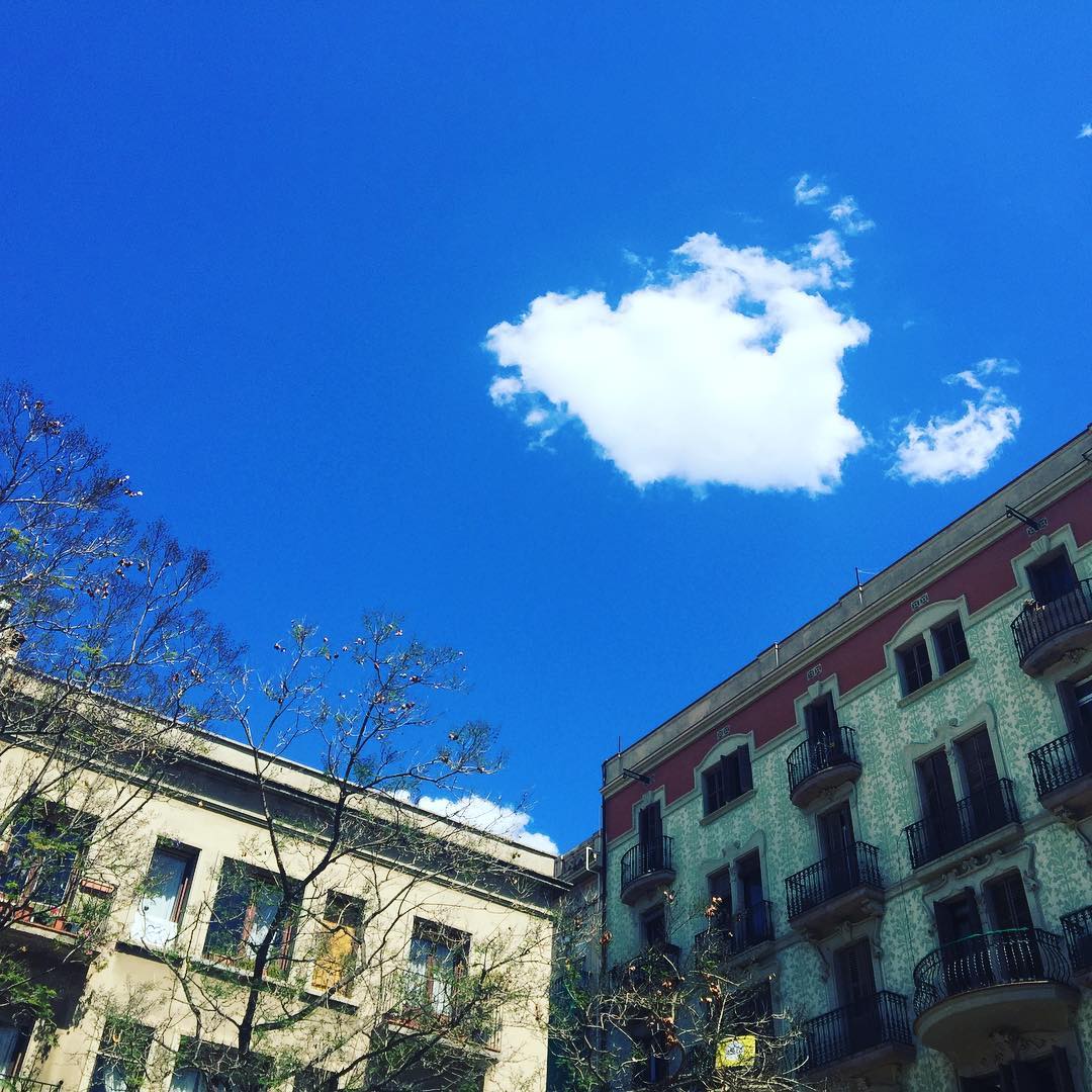 Esta foto se la dedico a mi amiga Montse Herrera por abrazable!