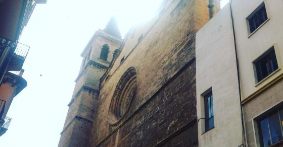Sempre que torn a Mallorca m'emocion - Roser Amills, escritora mallorquina