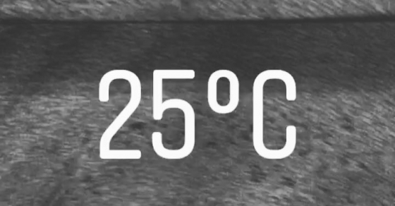 25!!! - Roser Amills, escritora mallorquina