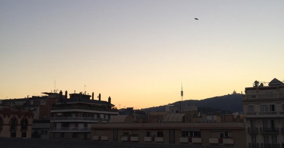 Véis el pájaro? - Roser Amills, escritora mallorquina