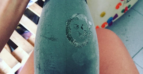 Alguien sabe si un cava congelado se puede descongelar? #polodecava #despiste - Roser Amills, escritora mallorquina