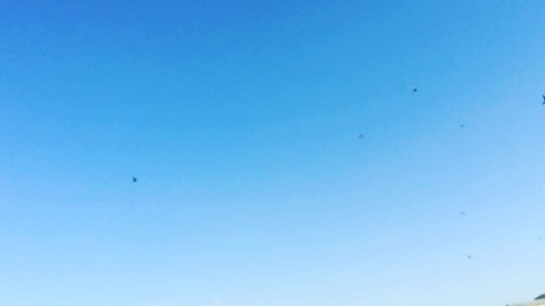 Cielo azul despejado con unos pájaros diminutos volando
