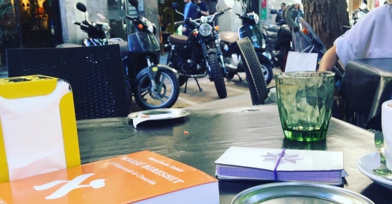 Cuadernos De Roser Amills