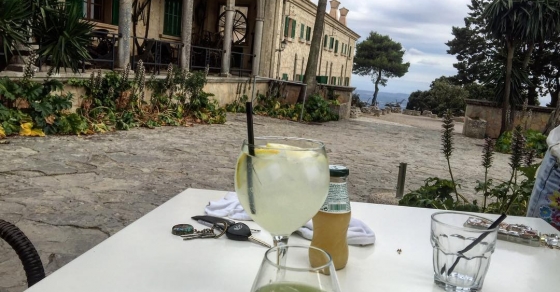 Herbes Puig De Cura Algaida