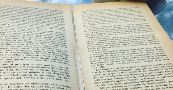 Libro De Roser Amills