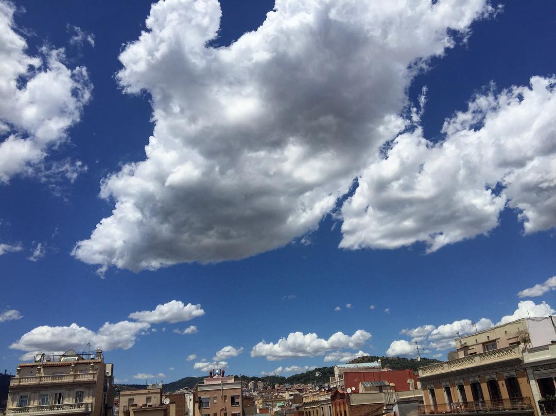 “Las preguntas no cambian la verdad. Le dan movimiento” Giannina Braschi