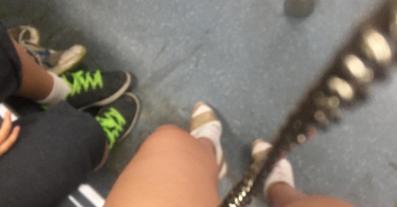 pies de roser amills