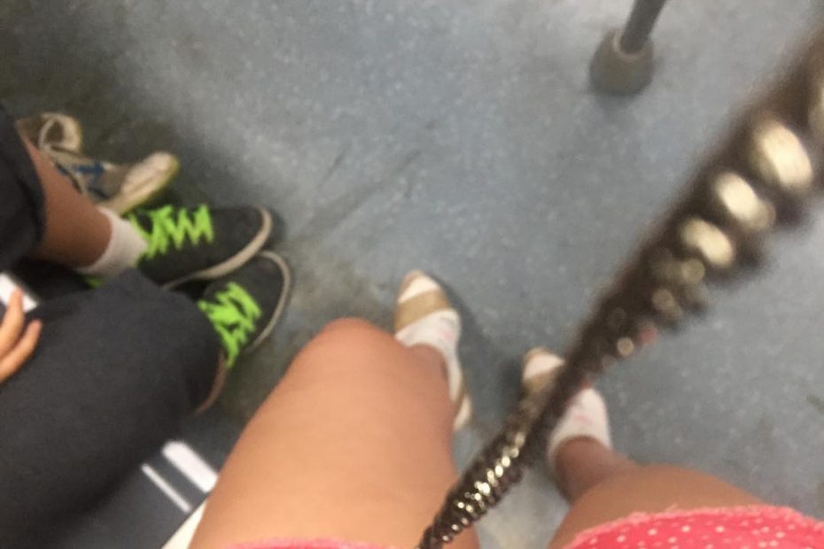 pies de roser amills