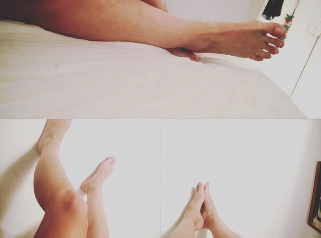 pies de roser amills