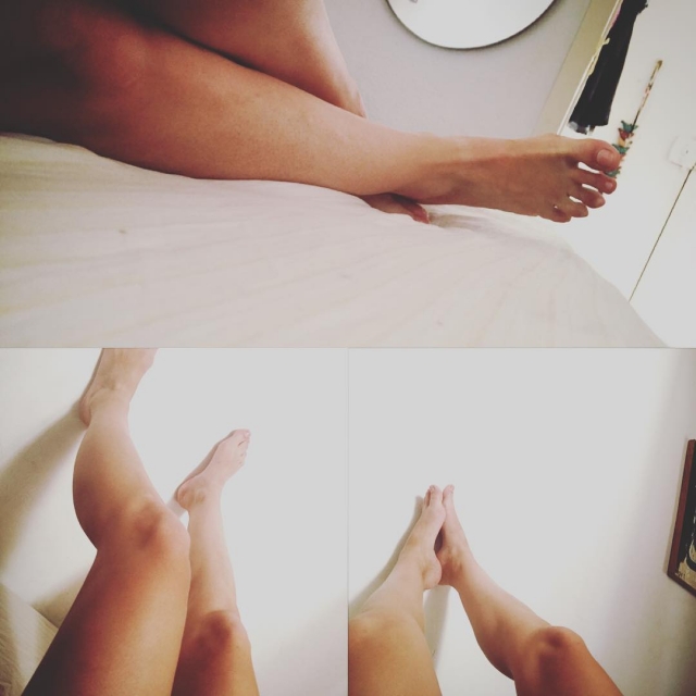 pies de roser amills