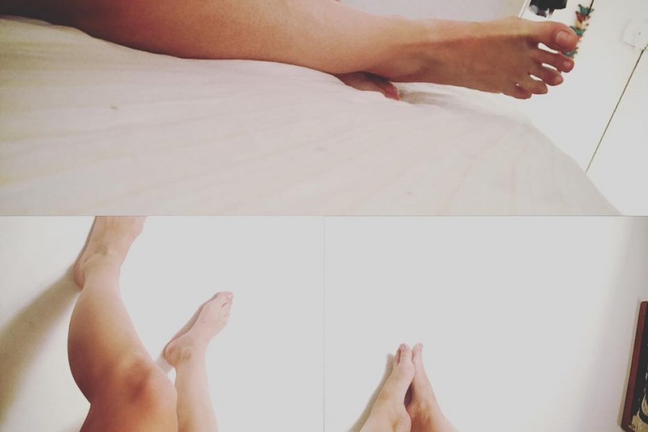 pies de roser amills