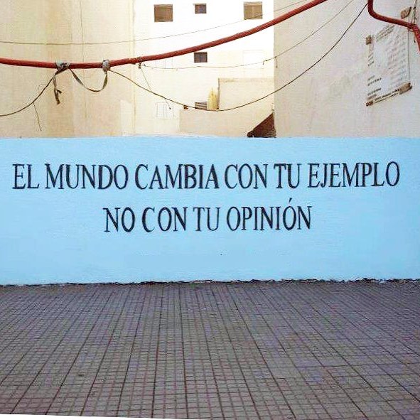 Roser amills sonar 2017