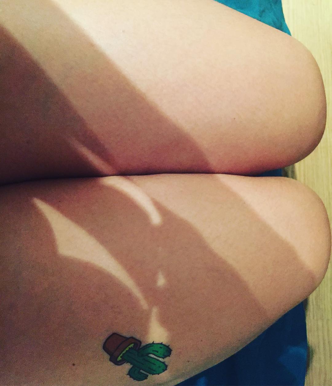 Bon dia! #cactus🌵 morning  