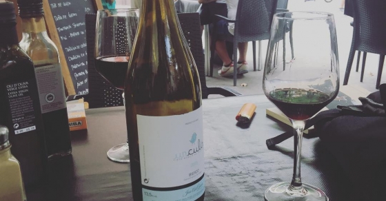Salir de vinos un viernes? ;)) - Roser Amills, escritora mallorquina