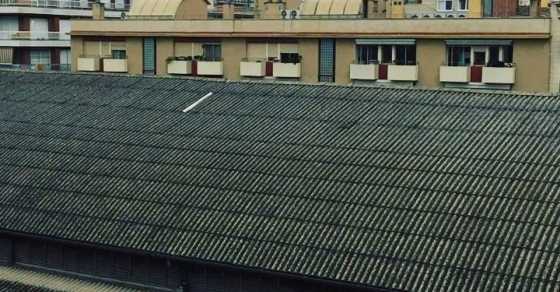 Lluvia de veranoooo - Roser Amills, escritora mallorquina