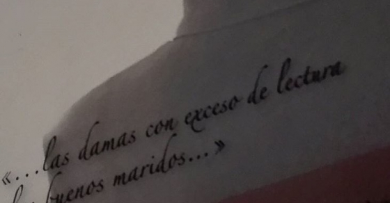 la bachillera, novela de roser amills