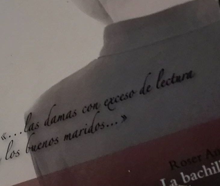 la bachillera, novela de roser amills