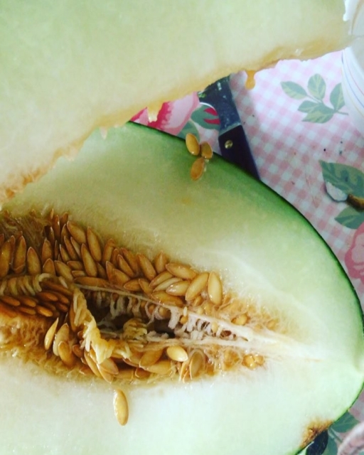 melon