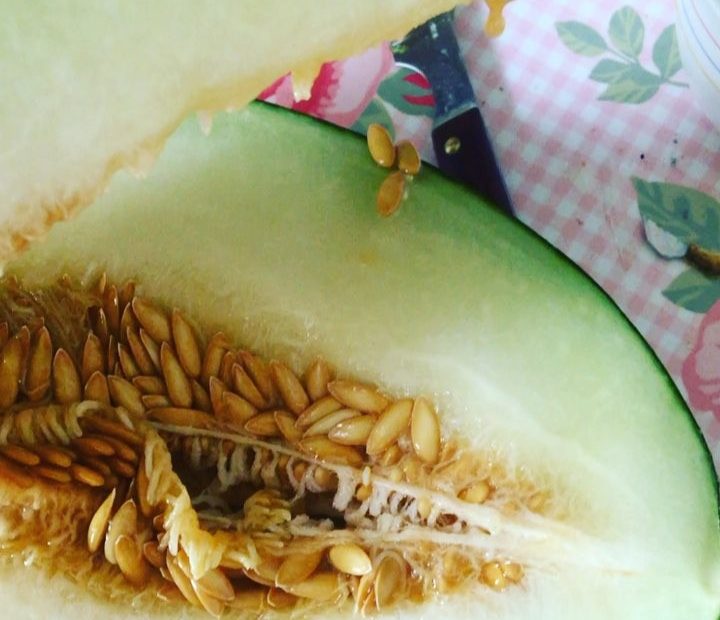 melon