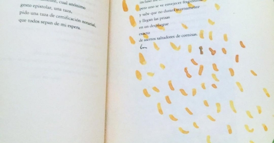 poema de uno solo por favor de roser amills