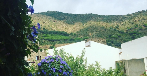 Queridas flores y floros, muy buenos días!! - Roser Amills, escritora mallorquina