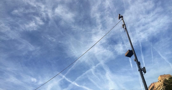 El cielo de Barcelona, ahora, amarillo y lleno de pájaros alterados - Roser Amills, escritora mallorquina