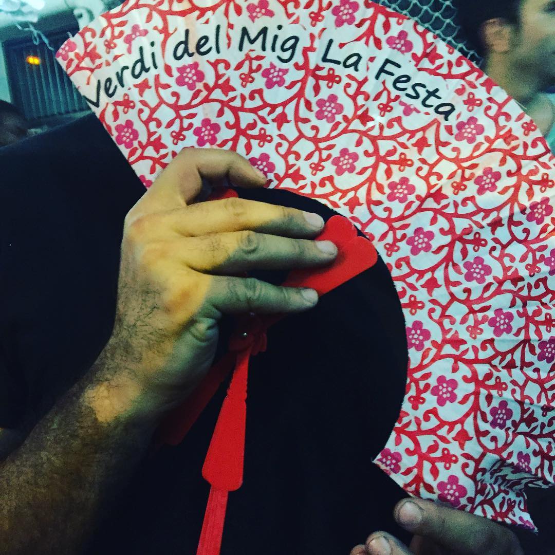 Festes De Gracia Carrer Verdi