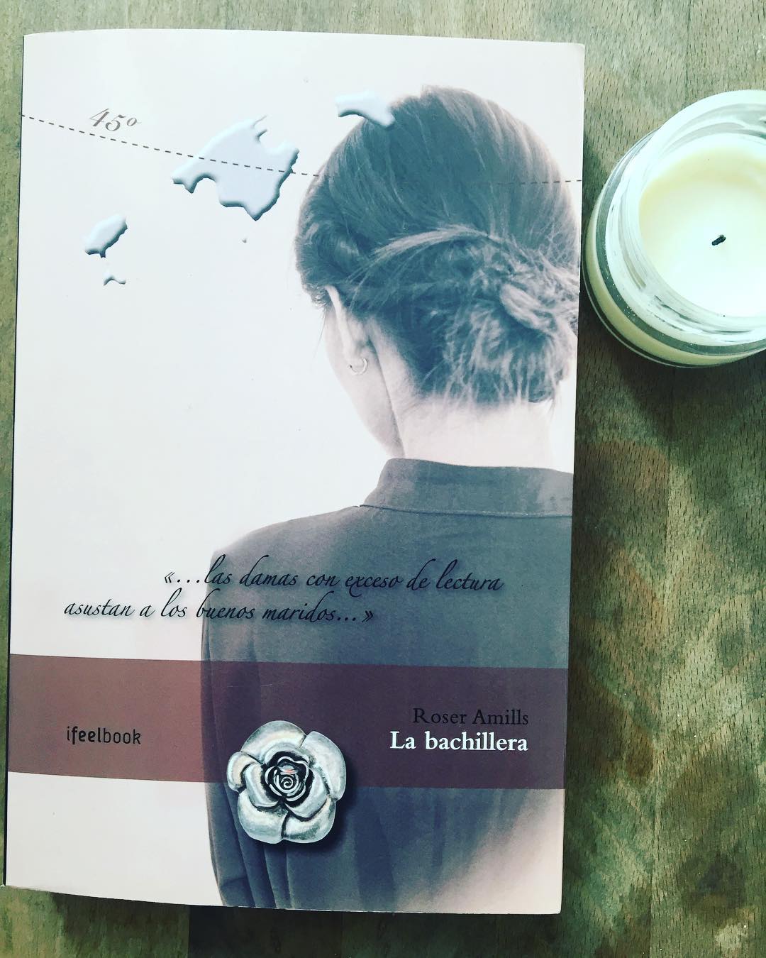 la bachillera, novela de roser amills