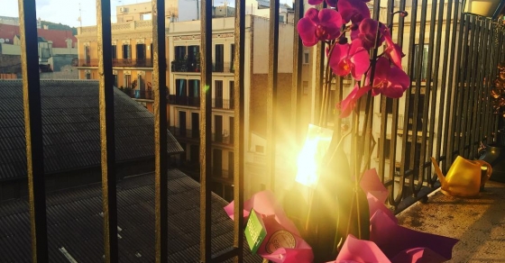 marc alberola regala flors a roser amills