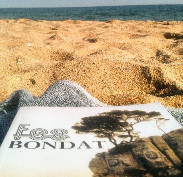 novel.la fes bondat de roser amills