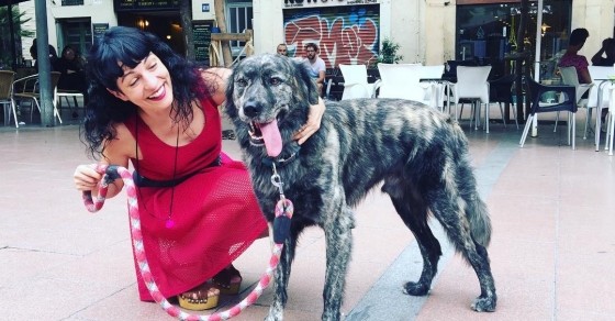 Os presento a Muku, el bellísimo perro de Merche :)) - Roser Amills, escritora mallorquina