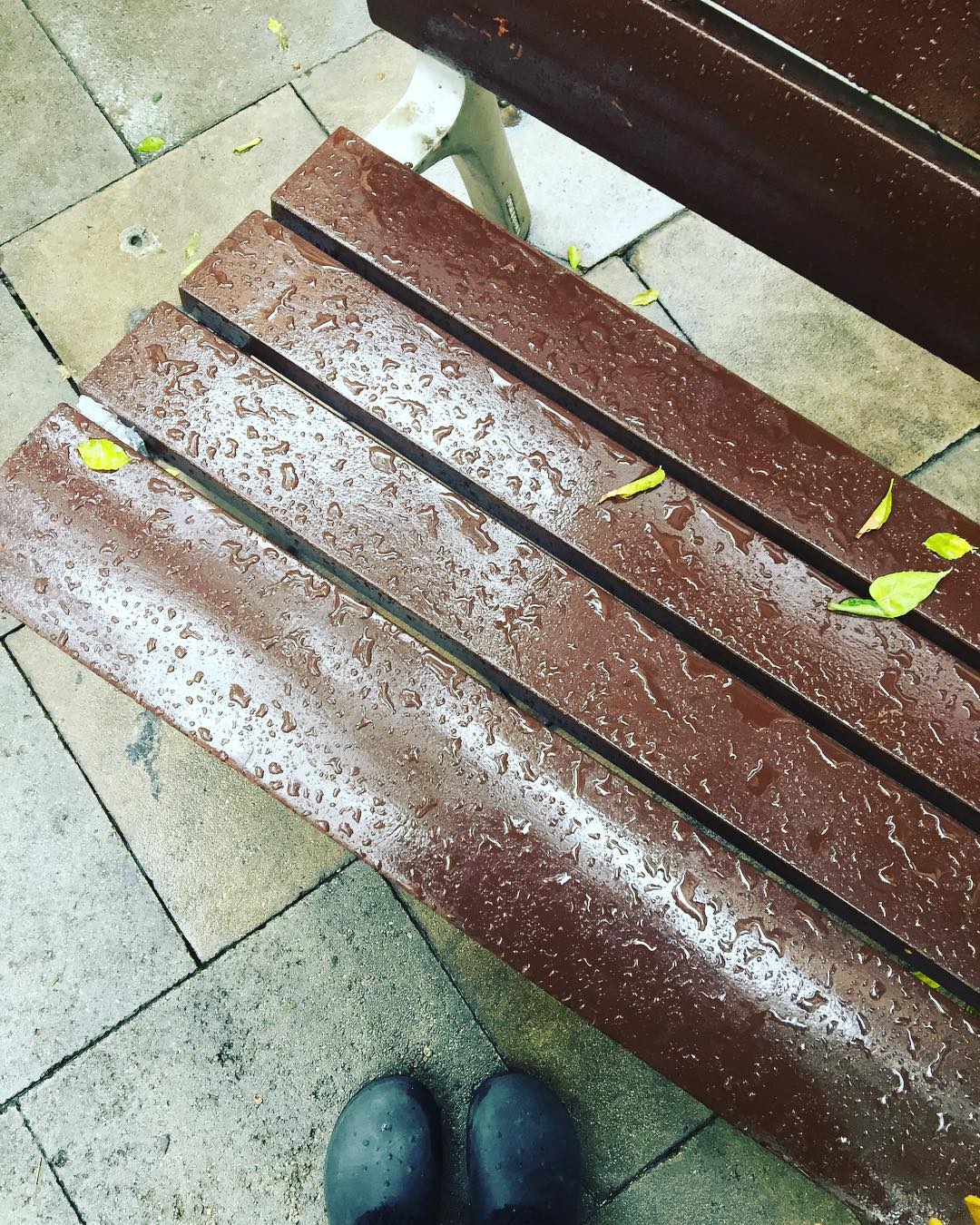 Aquesta pluja que ho banya tot… #antoniafont.Bon dia #buenosdias #morning