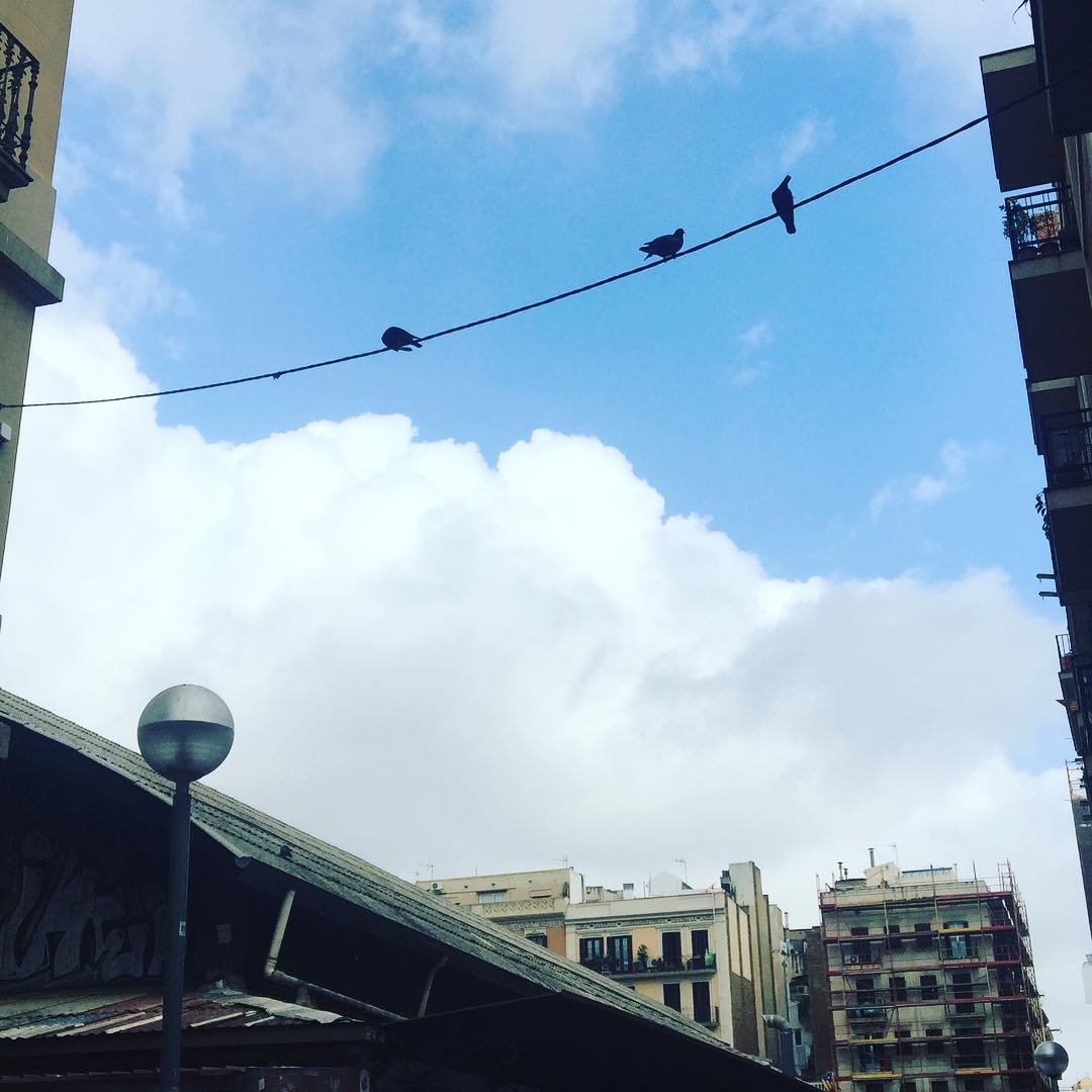 “Obedeced más a los que enseñan que a los que mandan”
San Agustín