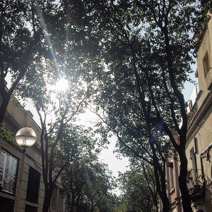 Las ideas son refinadas y multiplicadas por el comercio de las mentes. Gaston Bachelard