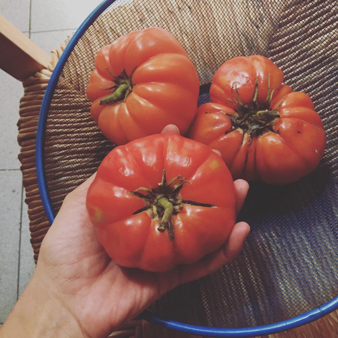 #cordebou o #tomatebarbastro ?