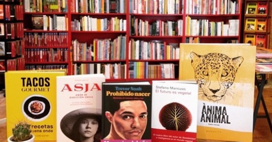 La novela de roser amills sobre asja lacis en rata corner