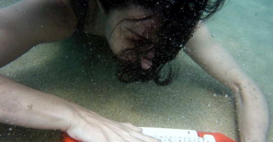 performance de roser amills con documentalidades maquina de escribir