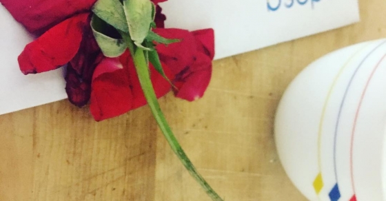 rosa roja en el buzon