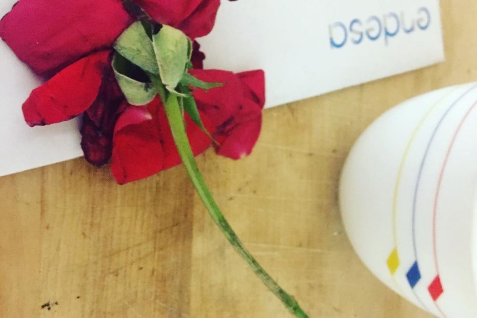 rosa roja en el buzon