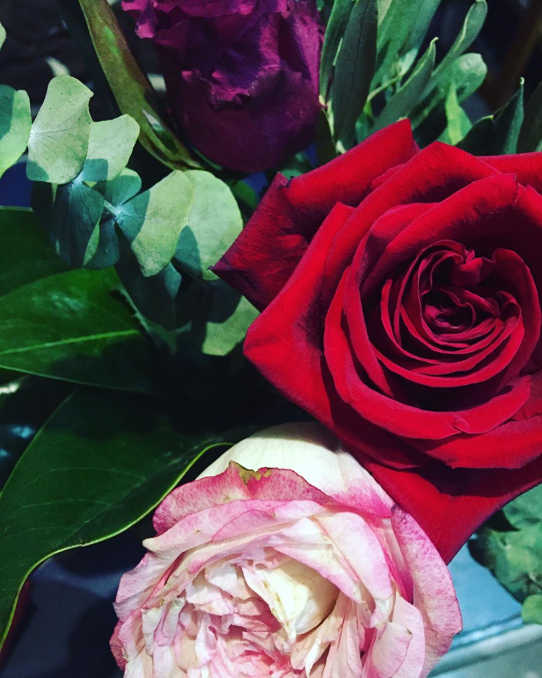 3 colores.Feliz viernes!!!