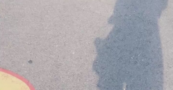 Sombras mediterraneas