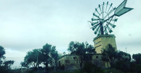 Molins Mallorca