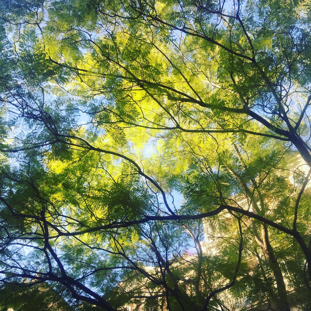 “No todo el oro reluce, ni todo el que vaga errante anda perdido” Tolkien