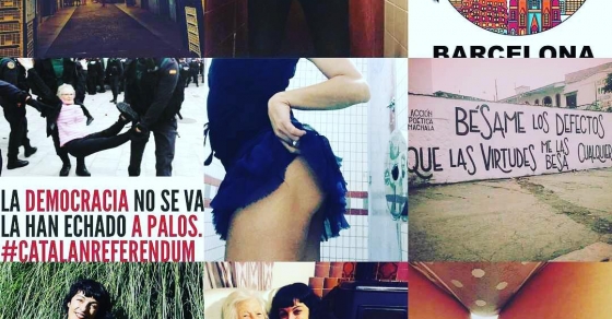 recopilacio d'amills public wc de roser amills