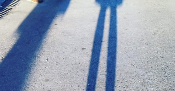 Sombra de Roser Amills