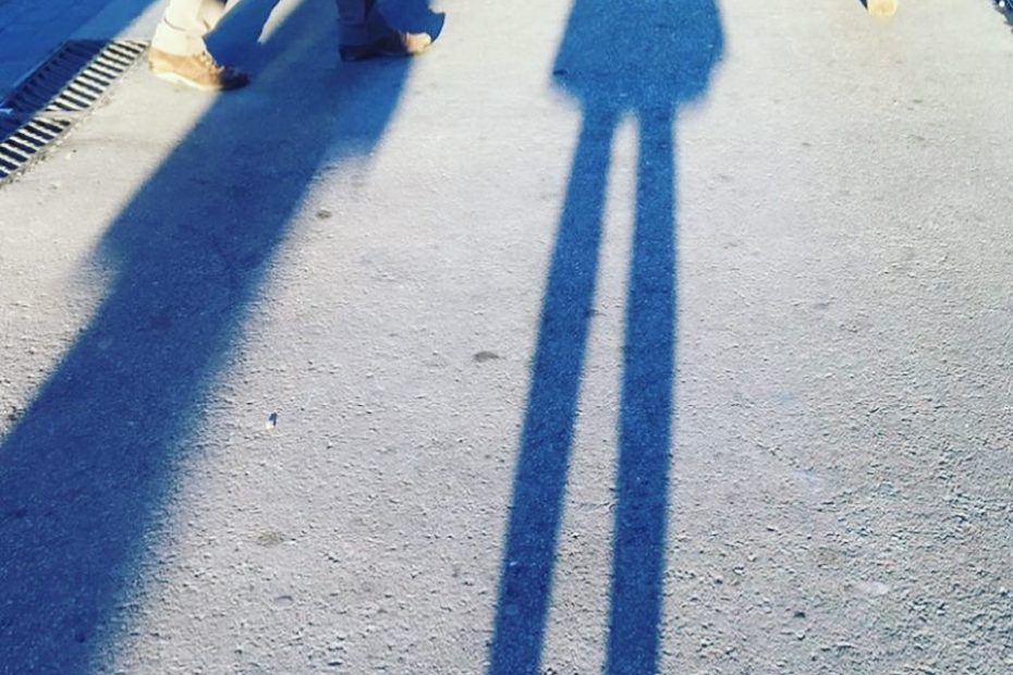 Sombra de Roser Amills