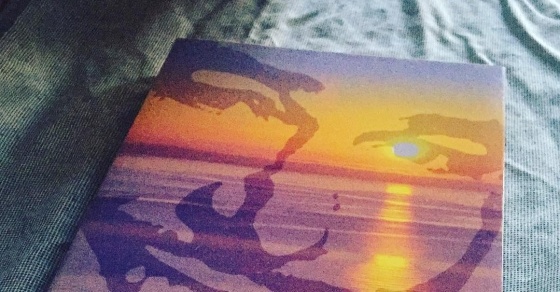 novela el ecuador de ulises de roser amills