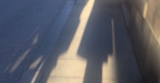 sombra de roser amills