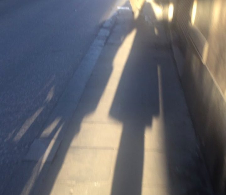 sombra de roser amills